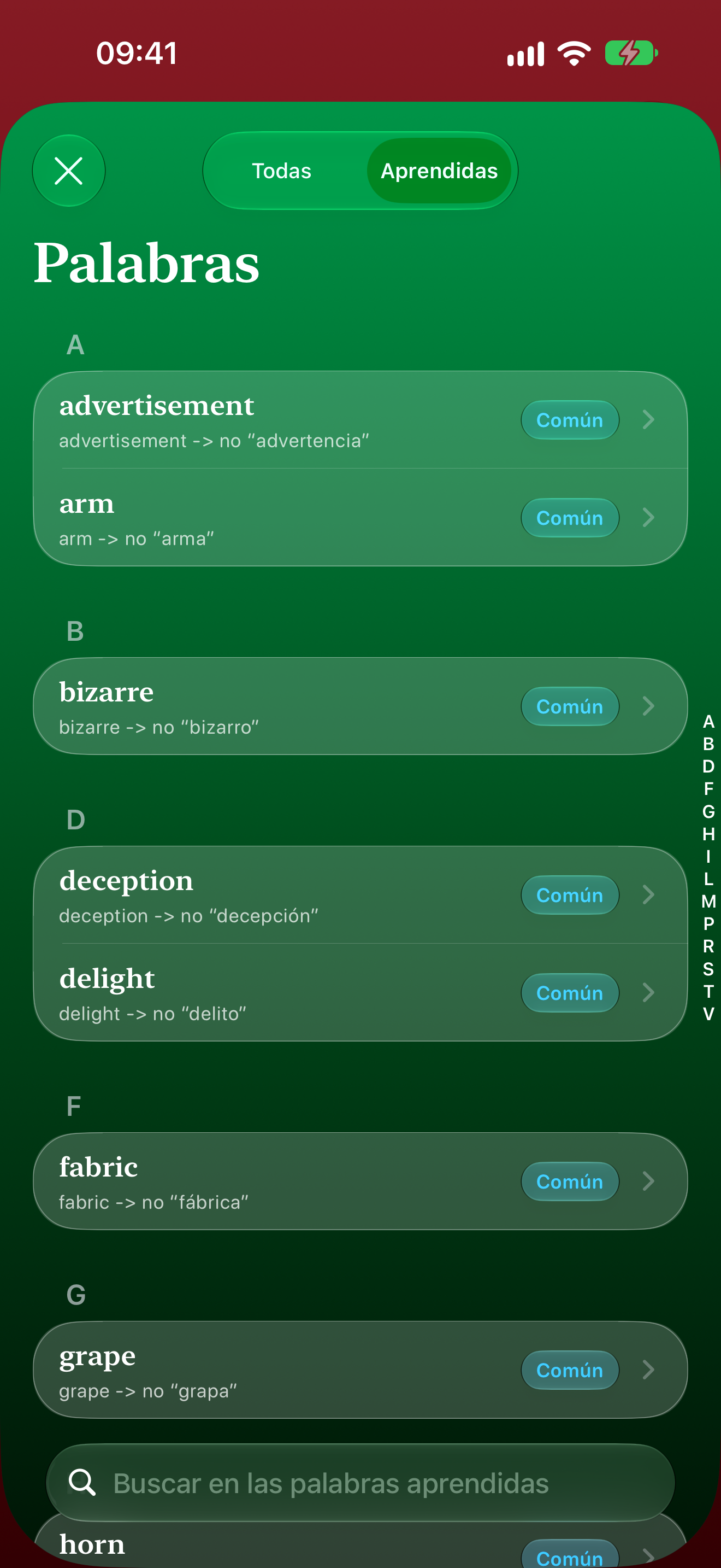 Lista de palabras de Falsos Amigos con filtros, niveles de dificultad y búsqueda